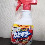 風呂カビ掃除の定番