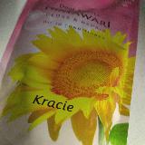 ひまわりのシリーズ