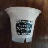 ココナッツミルクがおいしい