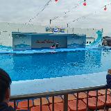 たくさん遊べる