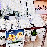 こだわりがあります。