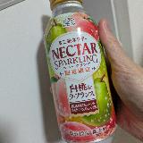 ネクターぽくはないけど