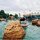 大人だけでも楽しめる