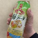 甘味も炭酸もしっかりしたソーダでした。
