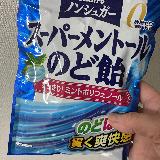 花粉の時期は必須