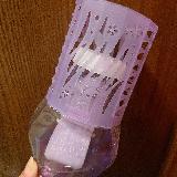 シャバシャバすればラベンダー復活