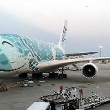 安心の海外渡航！