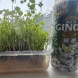 スッキリしてて飲みやすい。