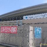 野菜が安くて新鮮だった