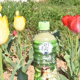 ラテはやっぱり椅子に座って