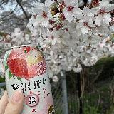 桃のジューシーな味