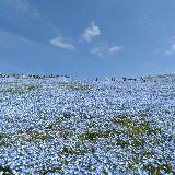 老若男女楽しめる