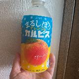 オレンジ感たっぷり