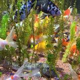 おすすめスポット