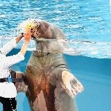 肌で感じられる