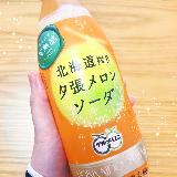 メロンそのもの