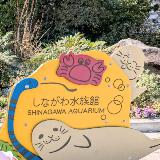 小さな子におすすめ！アットホームなしながわ水族館！