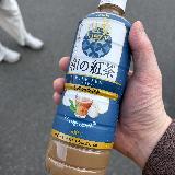 個性はそれほど強くないかも