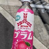 甘酸っぱ濃いプラム