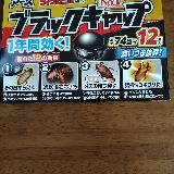 毎年使ってます
