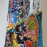 夏の定番