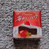 ガトーショコラ感があります