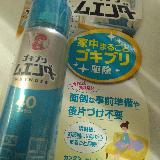 夏の前に購入