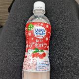 南国を感じる