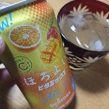 マンゴー味