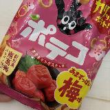 春の梅