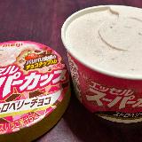 チョコチップが美味しい