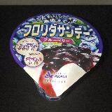 ちょっと贅沢なアイスクリーム