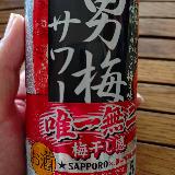甘酸っぱい梅
