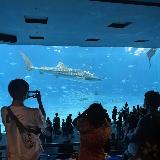 何度行っても楽しい水族館