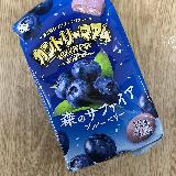 ブルーベリーの酸味と甘み