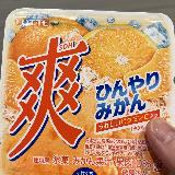 暑い日はこれ