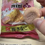 桜餅の風味のカントリーマアムでした