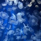 水槽の高さが子供向け！