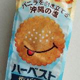 沖縄シーサー