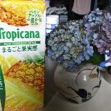 パイナップル果汁が味わえます