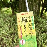 爽やかで美味しい