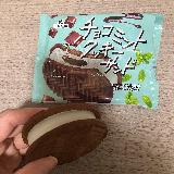 食べやすいチョコミント