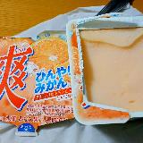 懐かしい味の爽
