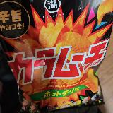 辛旨