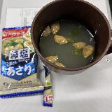 アサリを七粒確認。結構いいかもしれません。