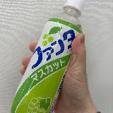 レトロな見た目と分かりやすい味は悪くないかも