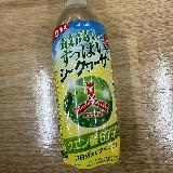 爽快な強めの酸っぱさ