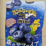 ジューシーブルーベリー