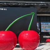 ジェラートが美味しい