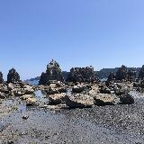 珍しい景色